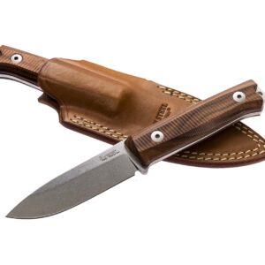 lionSTEEL B40